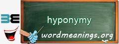 WordMeaning blackboard for hyponymy